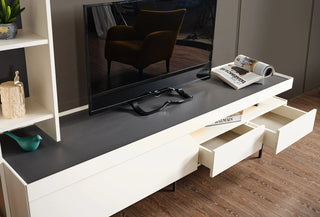 Forza TV Unit